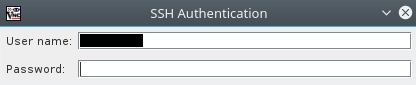 Authentication of the VNC service
