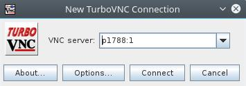 Serwer VNC