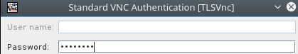 VNC service password